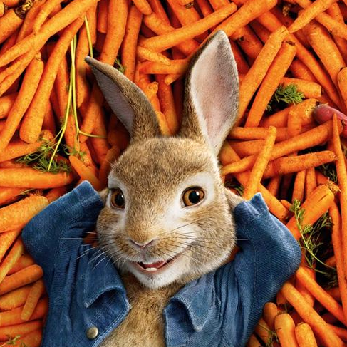 Pierre Lapin - Affiche française