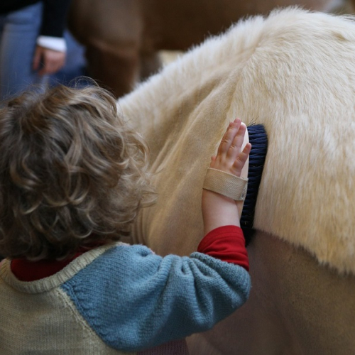 Salon du Cheval de Paris 2019 : village des enfants