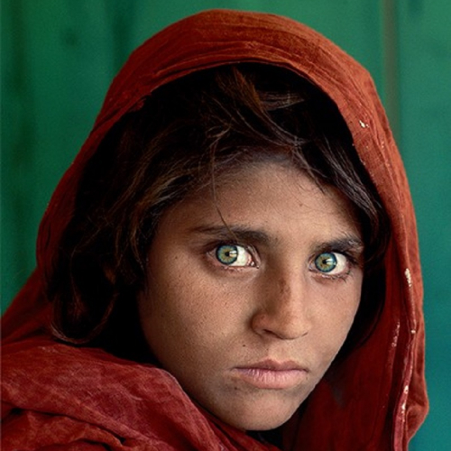 Sharbat Gula - jeune fille afghane - photo de Steve McCurry