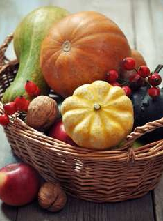 Expo Fruits et légumes
