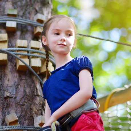 Sherwood Parc - Enfants accrobranche