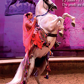 Cheval, rêve et poésie