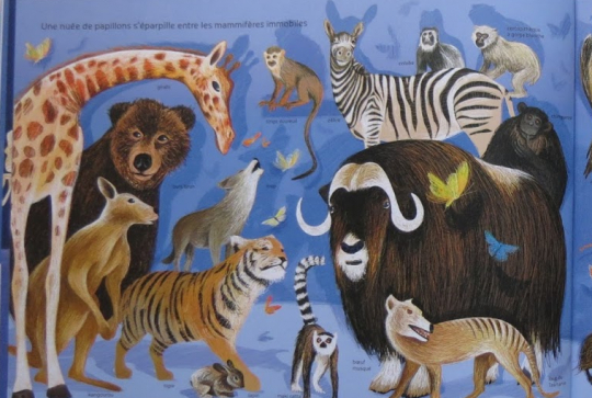 Cette nuit-là... au musée