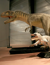 Musée des Dinosaures
