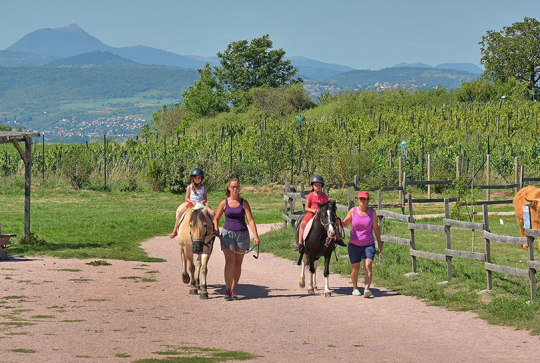 Ferme pédagogique de la Moulerette