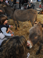 Fête de la châtaigne à Cagnes