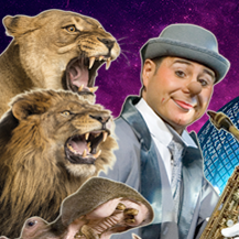 Cirque Gold - L'histoire d'un rêve - affiche