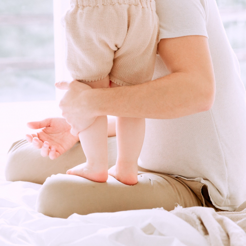 photo de couverture les petites familles