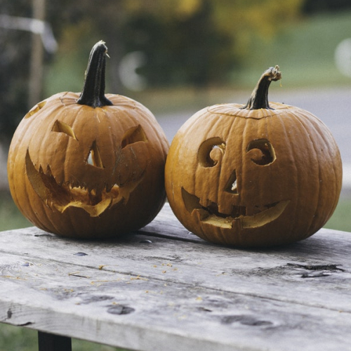 Halloween 2018 au parc Jacques Vernier