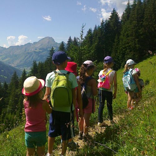 Sortie nature pour les enfants