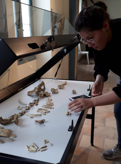 Exposition : les 10 idées reçues sur la Préhistoire