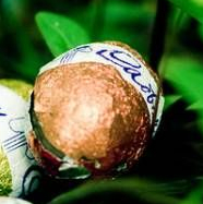 Oeufs de Pâques en chocolat et trèfles