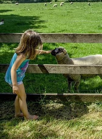 Foire à la basse-cour à l'Ecomusée du pays de Rennes
