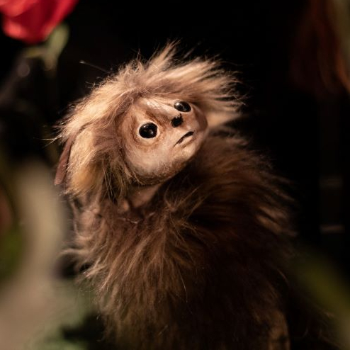 Sur les pas d'Oodaaq - Cie Les Décintrés (en costume)