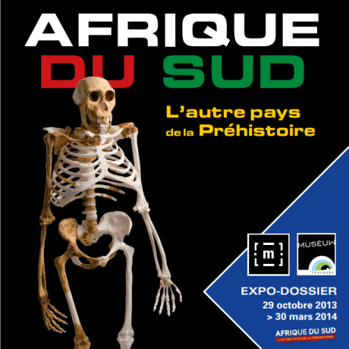 Afrique du sud