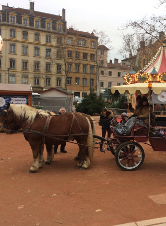 Marché de Noël de la Croix-Rousse 2019