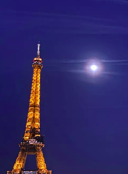 Nuit des Musées 2023 au Musée de l'Homme