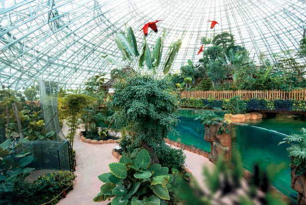 Le Dôme Équatorial, serre tropicale géante de 2 ha