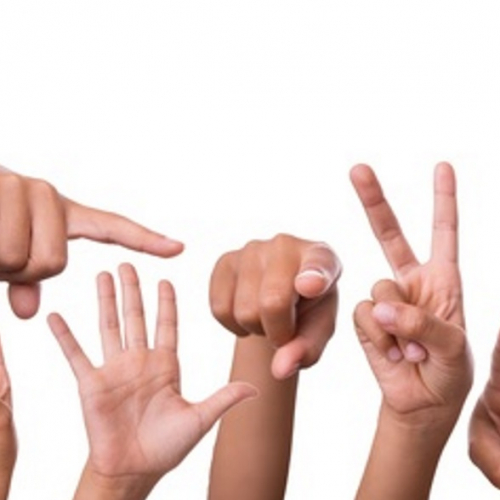 Stage de langue des signes