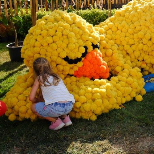 La Folie des Plantes en famille au Parc du Grand Blottereau : poussin