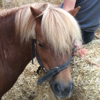 Anniversaire à La clé des champs