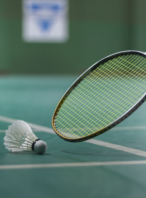 Badminton Bron Evasion