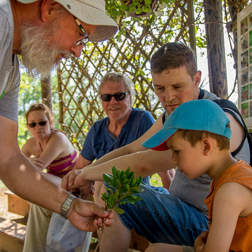 AOUBRE L'Aventure Nature : Un petit garçon en découvre un peu plus sur la nature