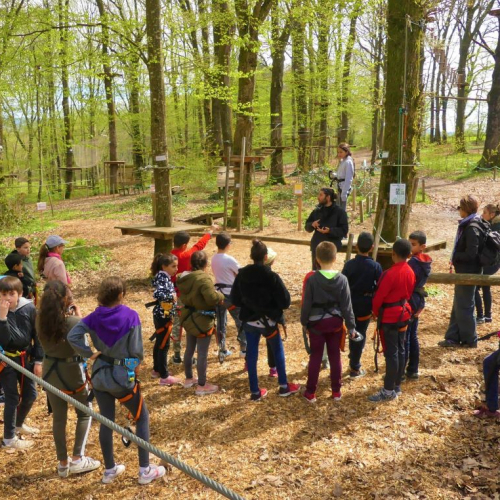 Aventure de la Bresse groupe d'enfants qui font de l'accrobranche
