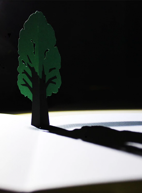 Popa - Cie Le Pied en dedans