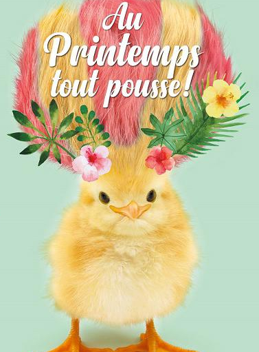 Au printemps tout pousse au Parc Phoenix