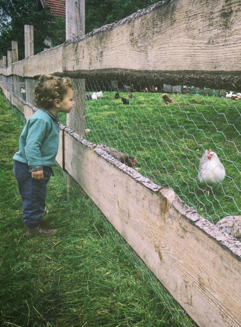 Fermes en fête Marseille