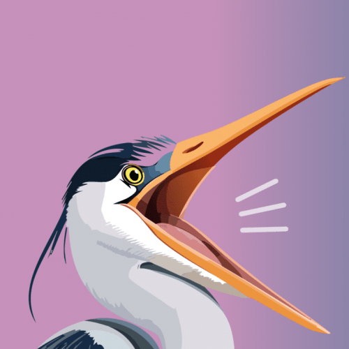 nature en fête plobsheim