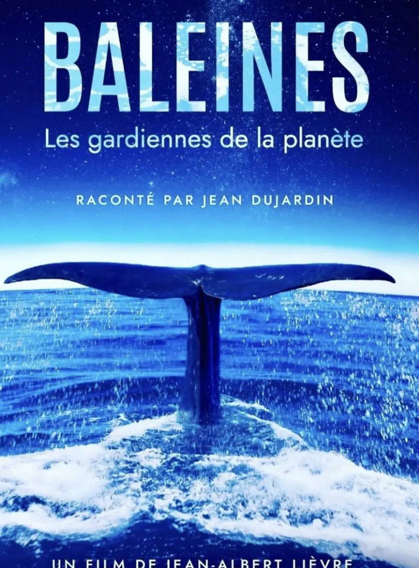 Baleines, les gardiennes de la planète documentaire en famille