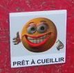 Saveur du terroir