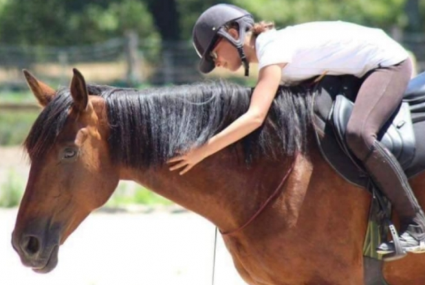 Horse Club de Bordeaux : équitation pour les enfants