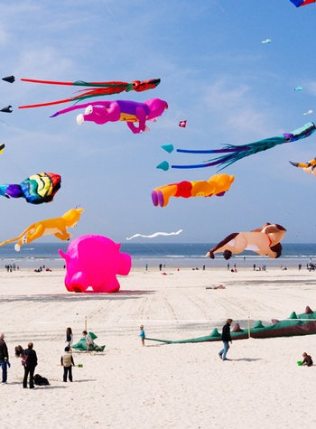 Fête des cerfs volants à Hourtin