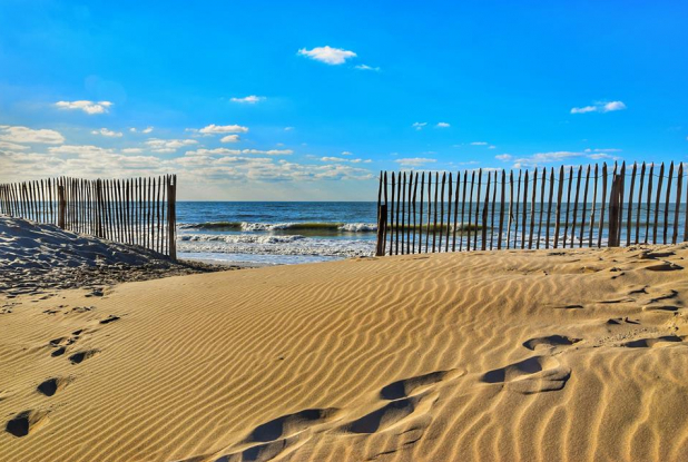 Le Touquet-Paris-Plage : Paysage