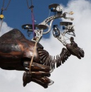 Le réveil des Animaux de la place