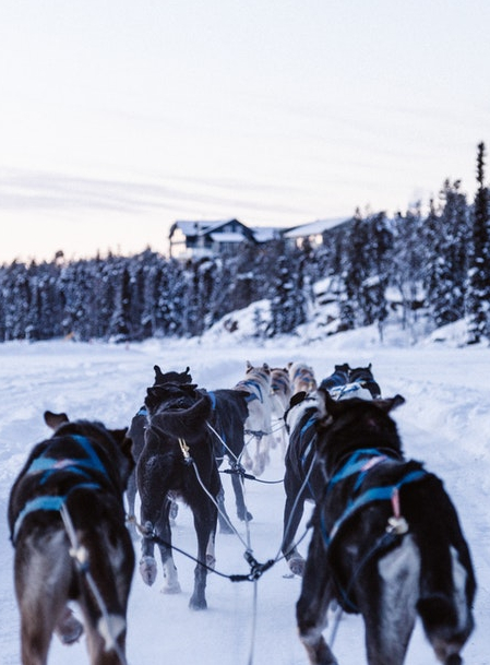 Les vacances d'hiver à l'Espace Magnan 2018