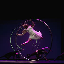 BiblioTek - Cirque du Grand Lyon