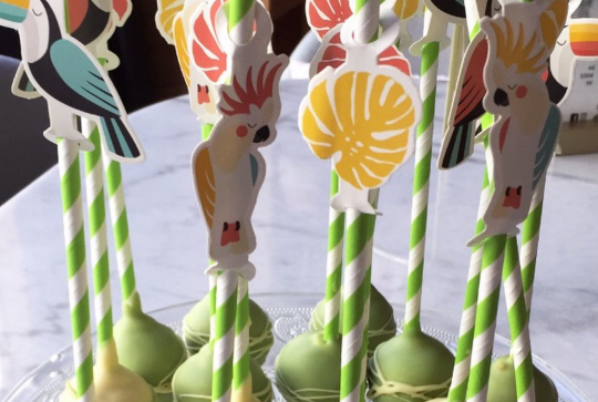 Mama Tea : pop cake oiseaux