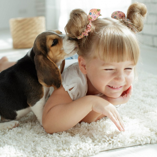 Salon des Animaux de Compagnie et leur bien-être : petite fille avec un chiot