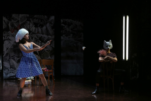 Le chat n'a que faire des souris mortes - création 2017 - photo Anne Sendik