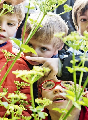 Atelier "Les insectes jardiniers" à Little Villette