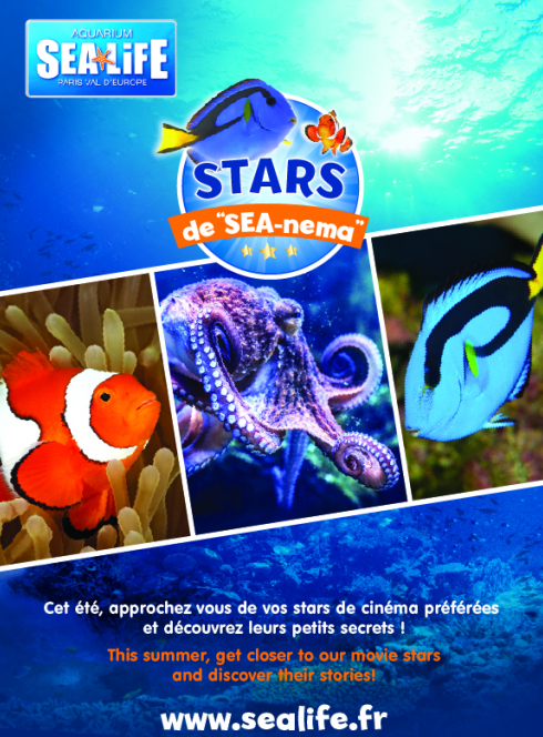 Stars de sea-nema