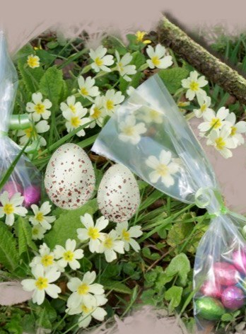 Chasse aux œufs au Parc botanique de haute bretagne