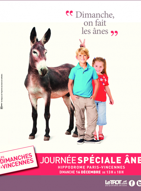 Dimanche, on fait les ânes à l'Hippodrome de Vincennes