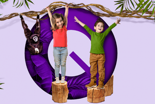 Qwartz Aventure : parcours accrobranche