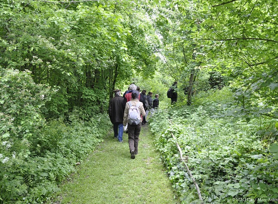 Fête de la nature Jardin des plantes ©RICHARD-MA_MNHN