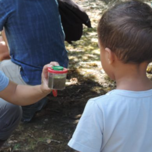La Famille des Aventuriers à l'Écosite du Bourgailh